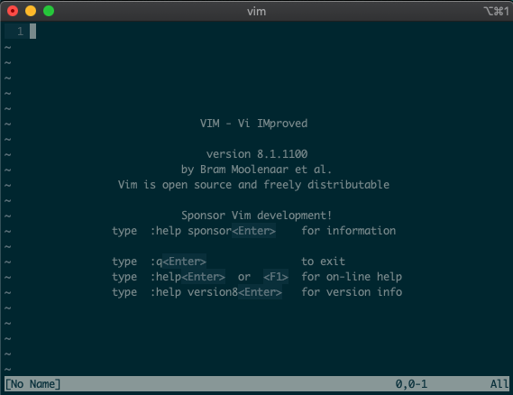 image of vim home screen