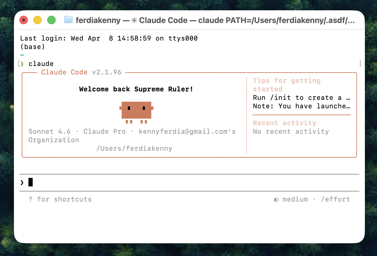 Claude Code running in a white computer terminal