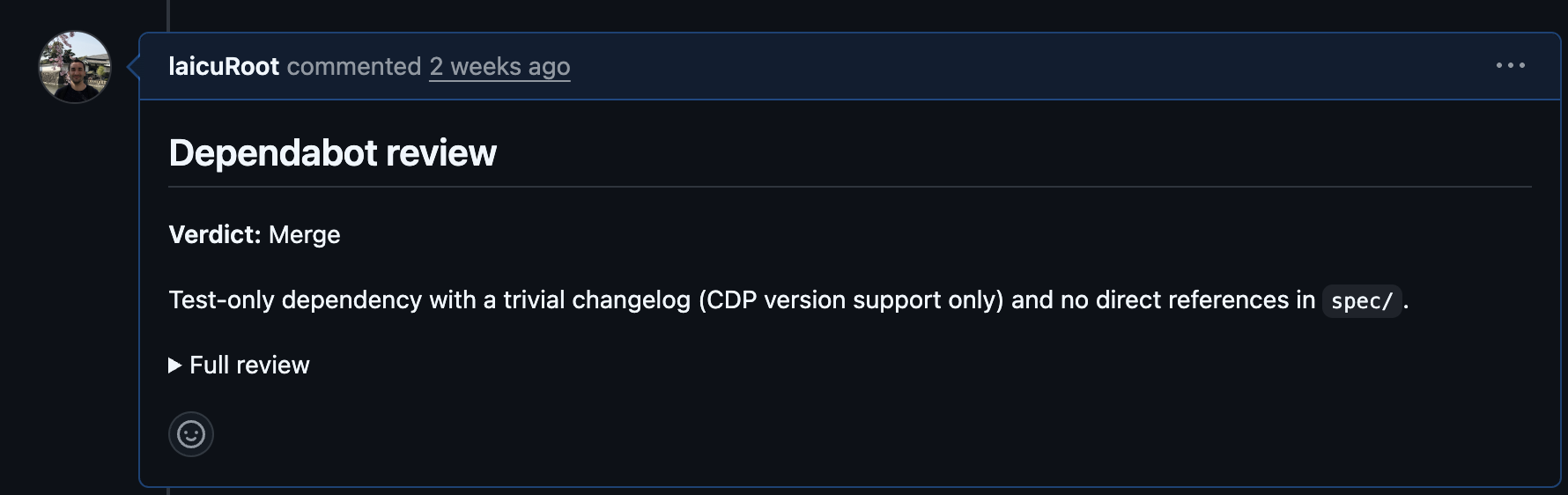 An example of the dependabot review comment in a PR